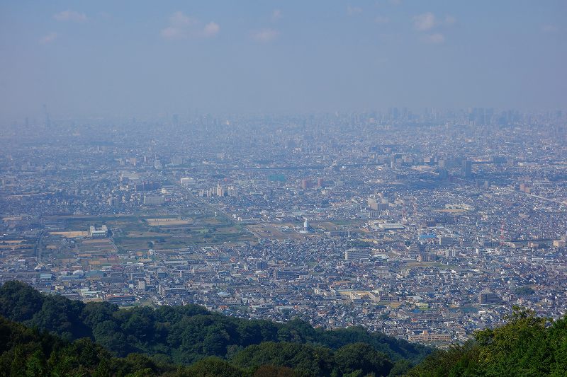 113-3.jpg