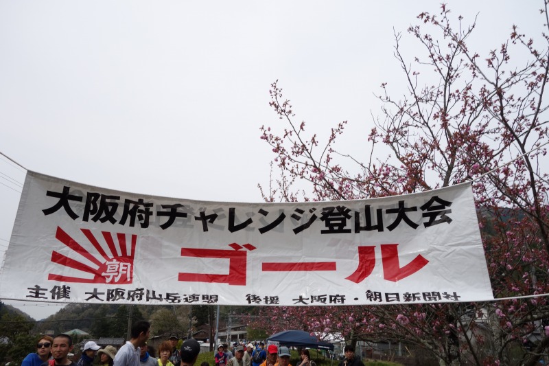 139-2.jpg