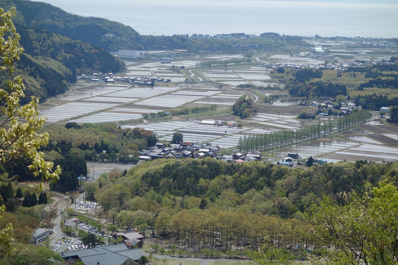 147-2.jpg