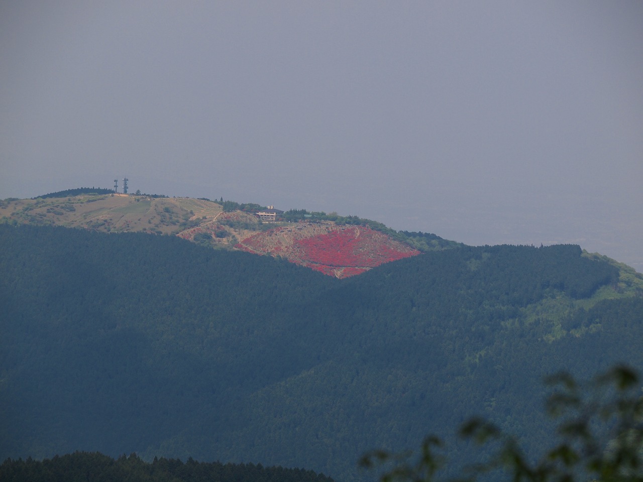 150-3.jpg