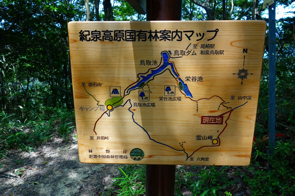 159-3.jpg