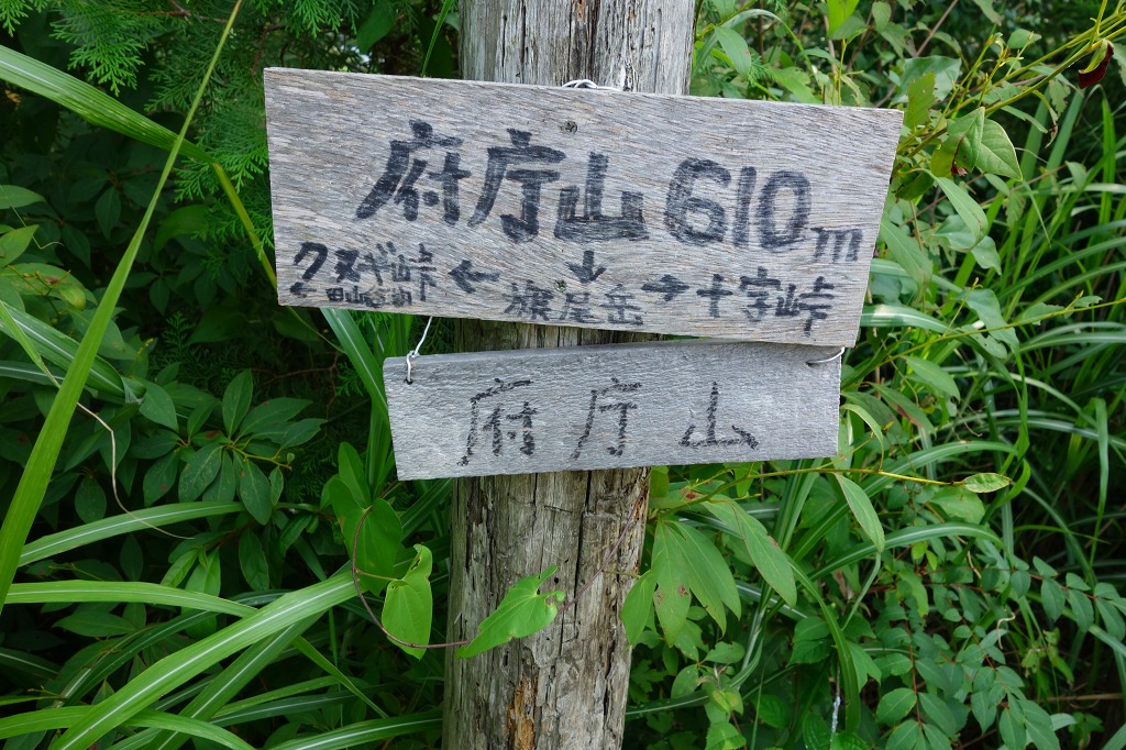161-3.jpg