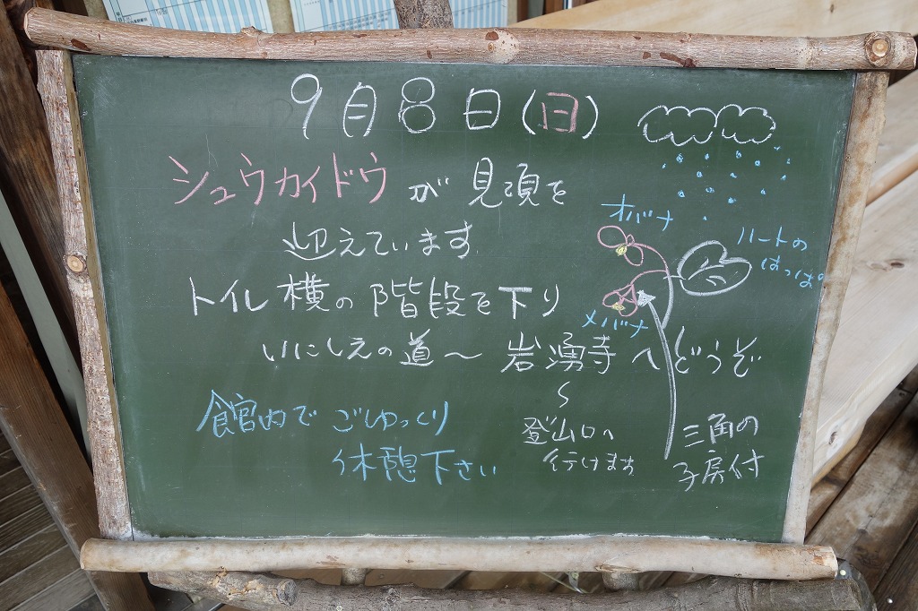 169-3.jpg