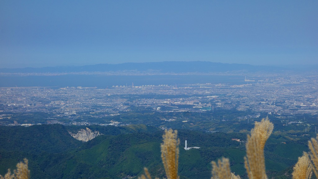 175-1.jpg