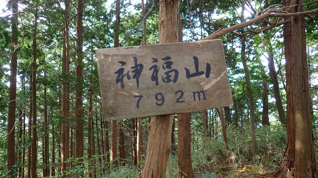 224-5.jpg