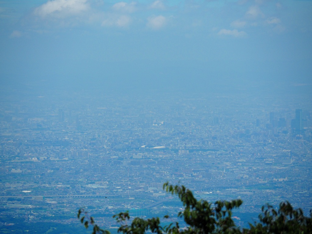 250-4.jpg