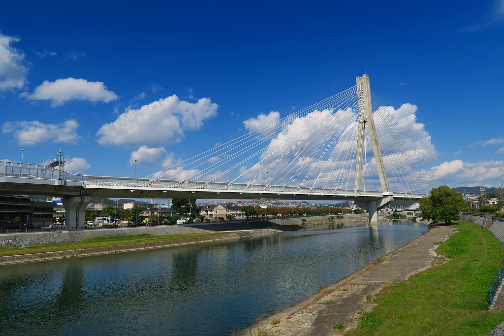 258-3.jpg