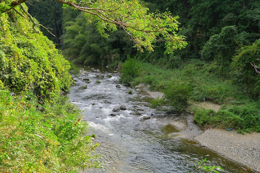 258-5.jpg