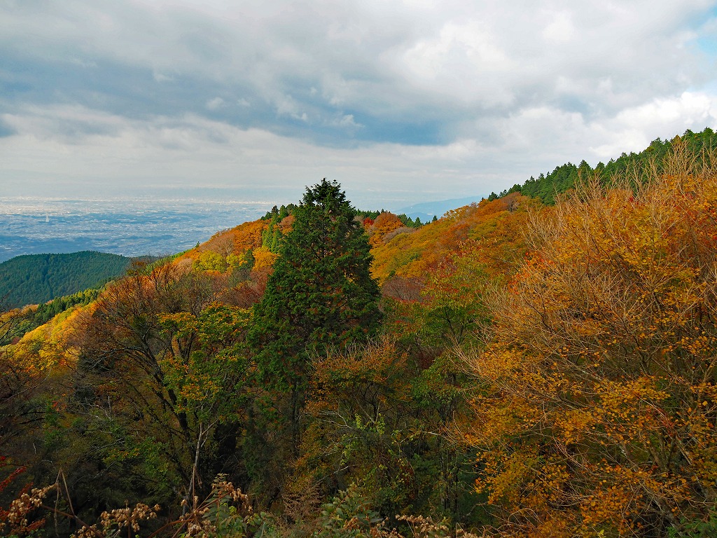 262-4.jpg