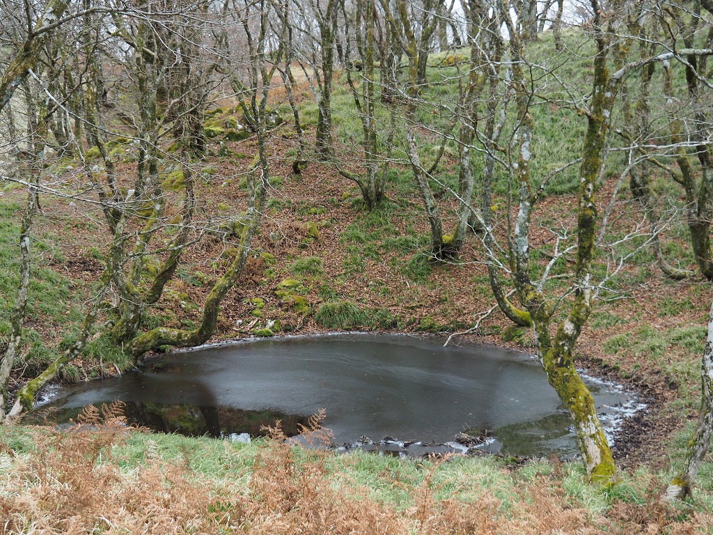 266-4.jpg