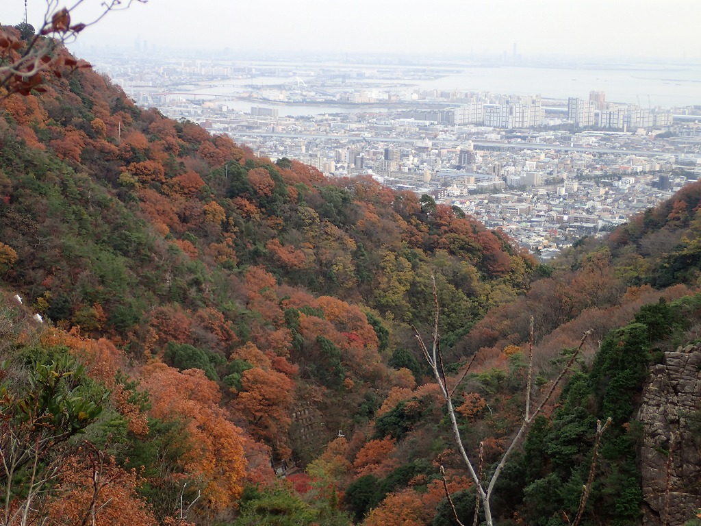 269-5.jpg