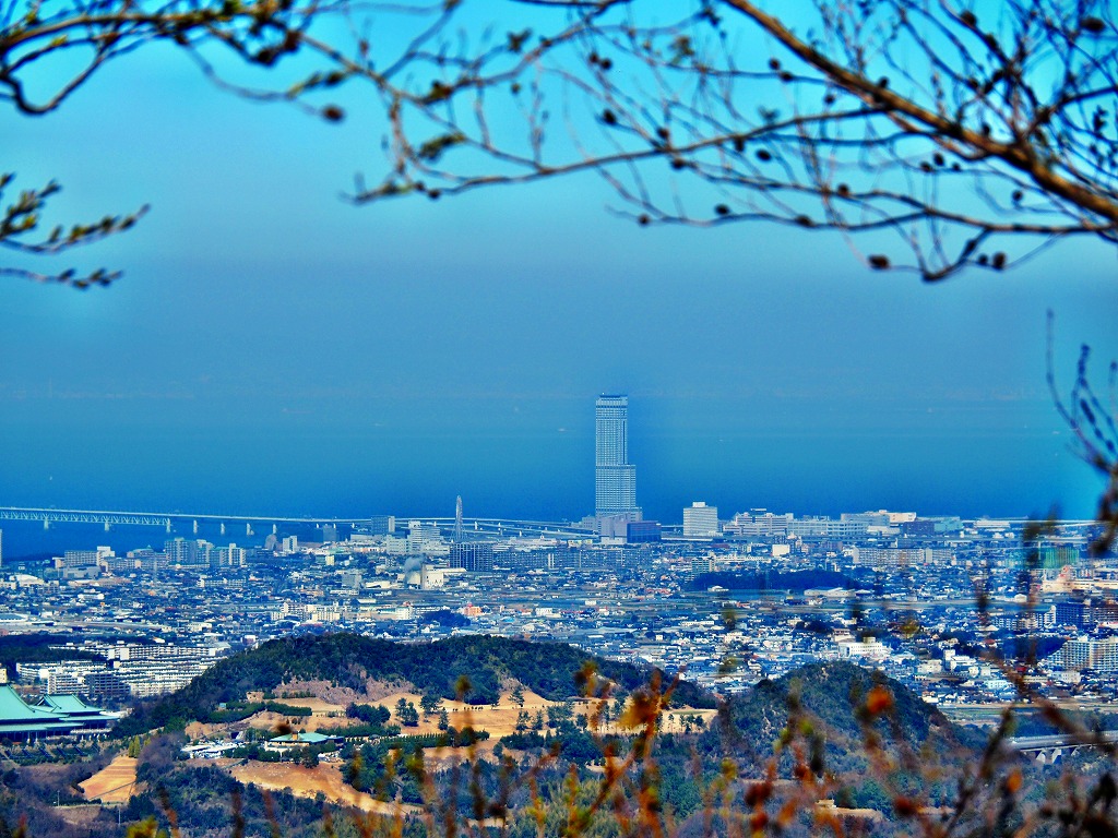 279-3.jpg