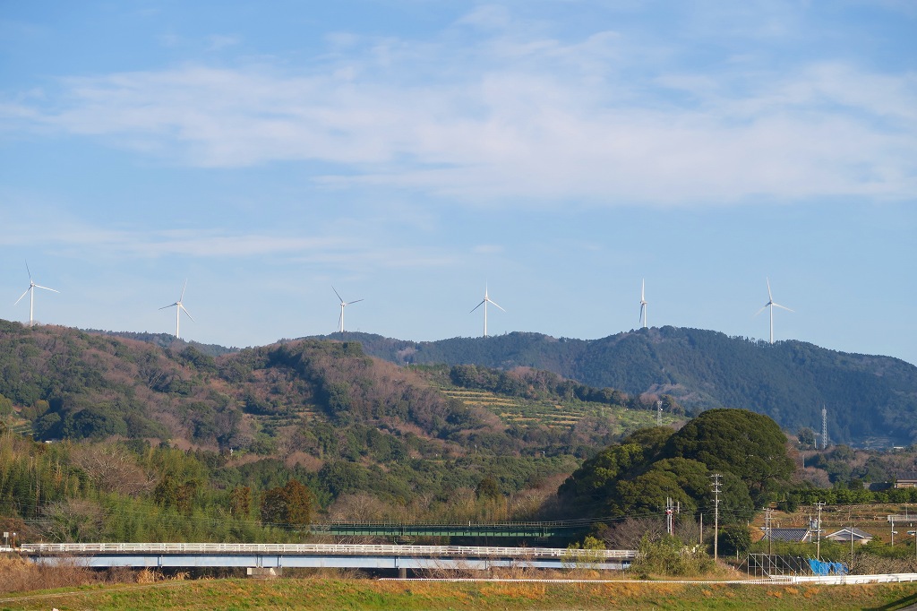 286-2.jpg