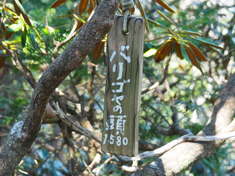 293-3.jpg