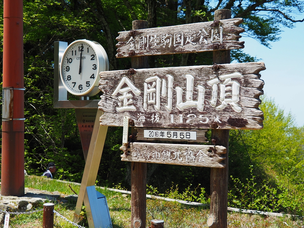 294-1.jpg