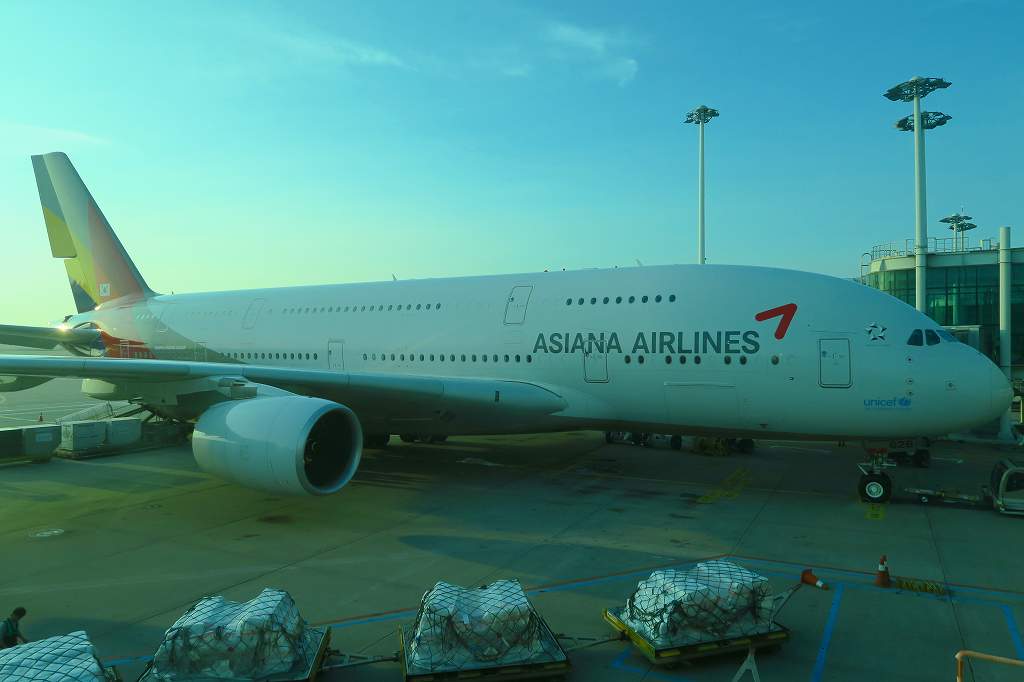 306-2.jpg