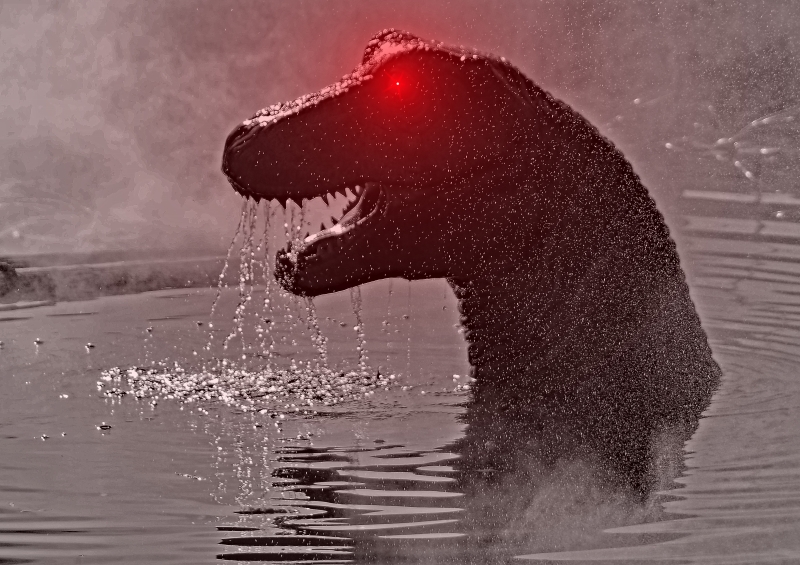 341-1.jpg