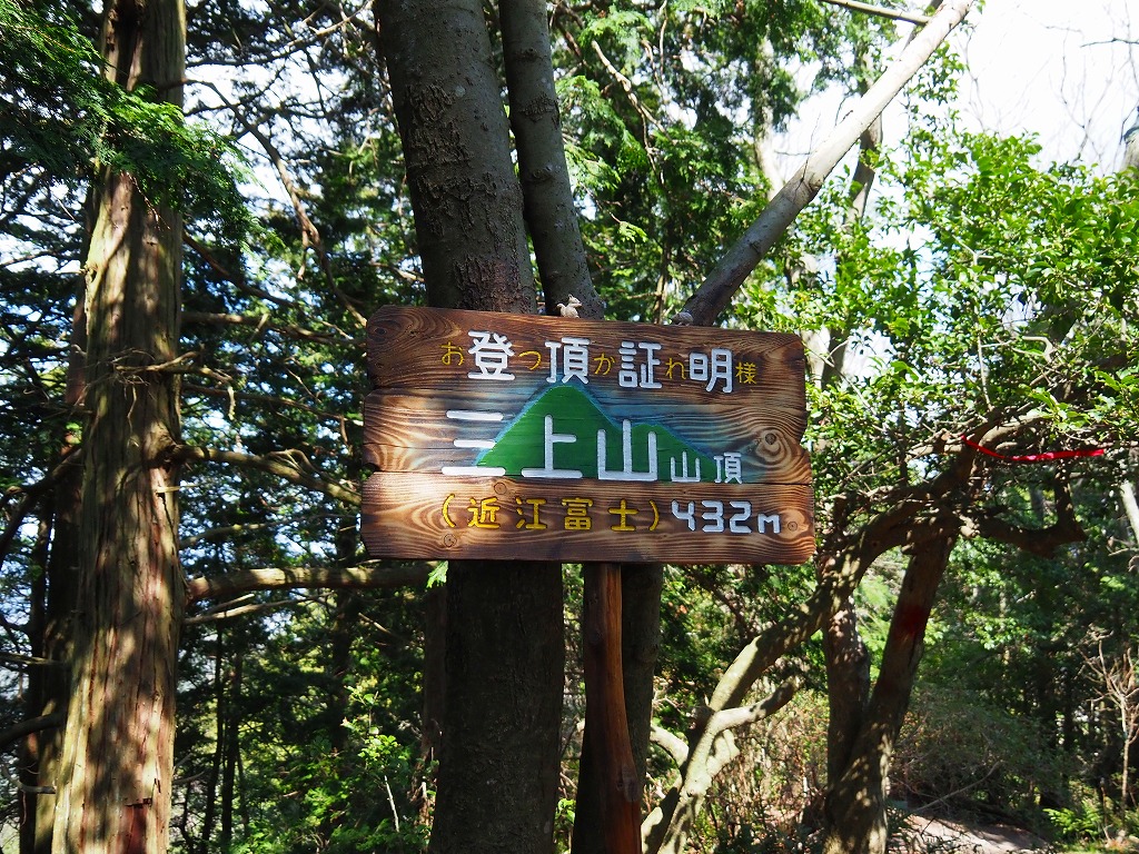 445-4.jpg