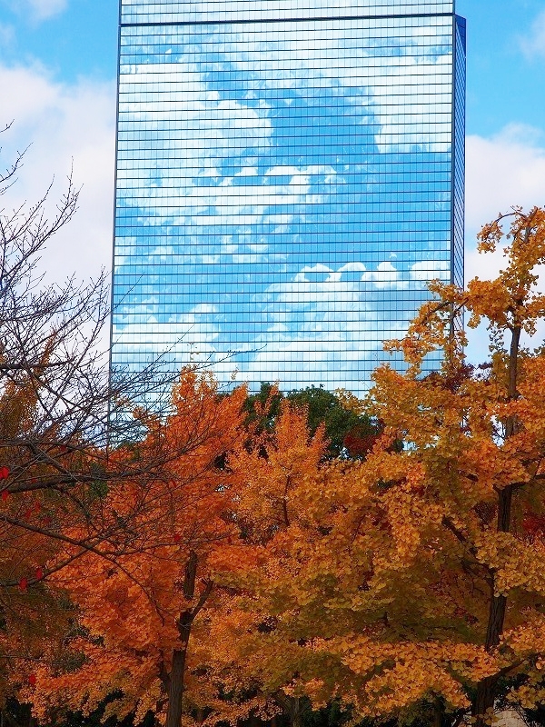 50-5.jpg