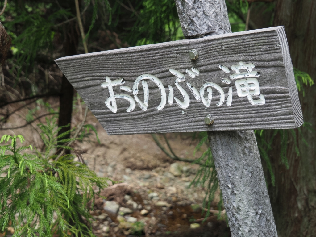 506-5.jpg