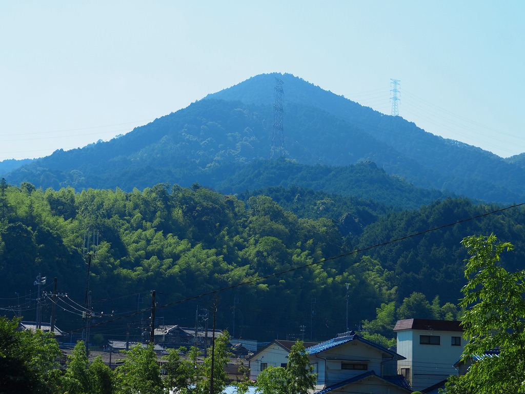 510-1.jpg