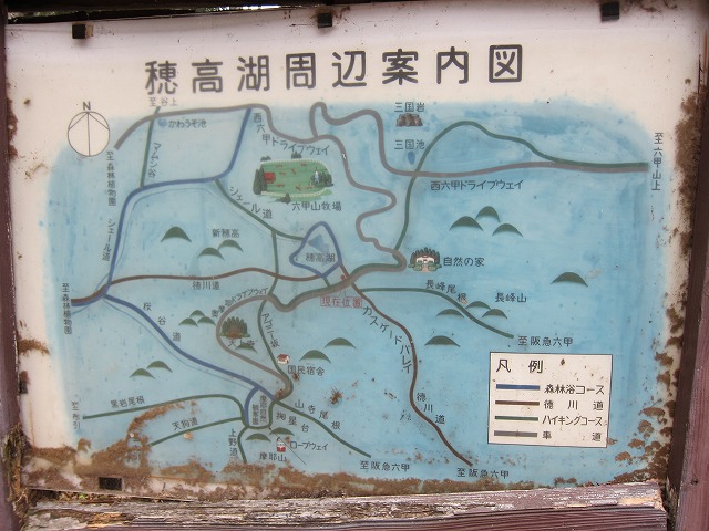 61-3.jpg