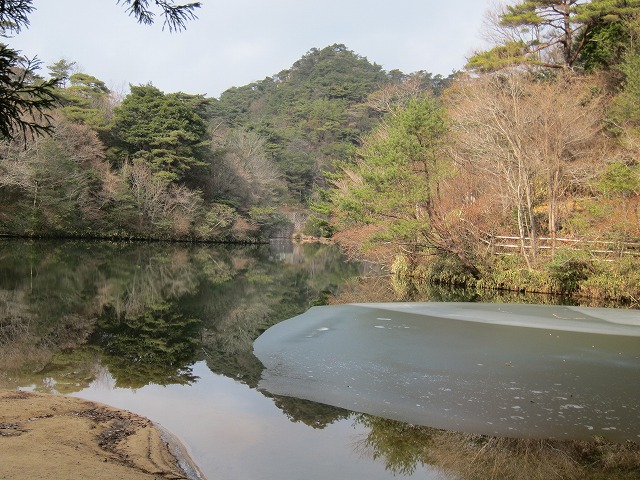 61-4.jpg