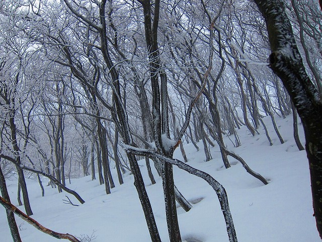 72-2.jpg