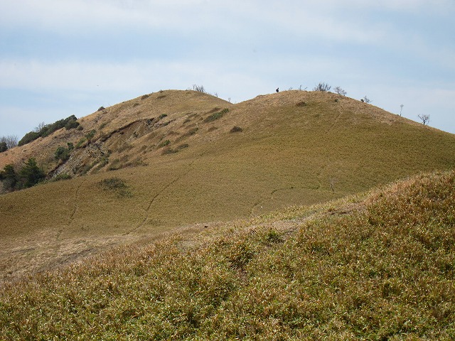79-3.jpg