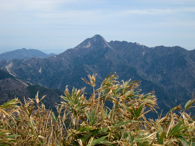79-4.jpg