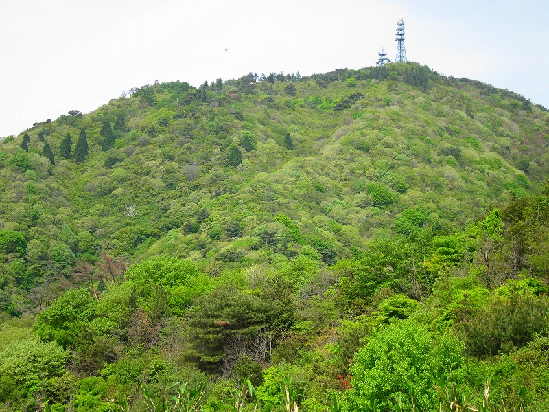 83-3.jpg