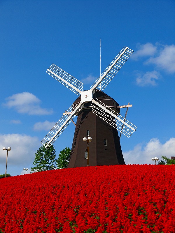 84-3.jpg