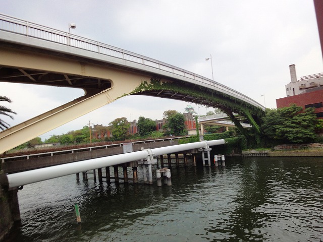 88-2.jpg